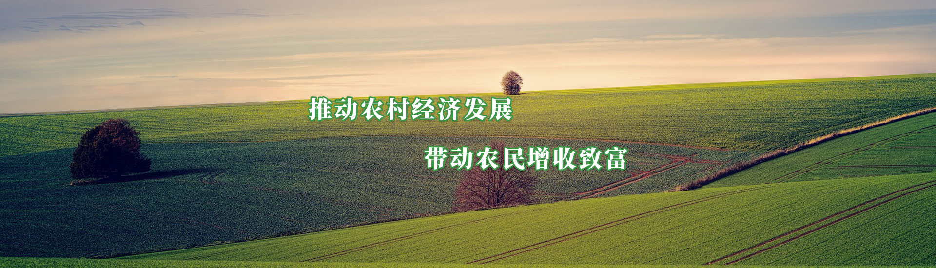 ����˹ר���ᡤVIP(�й���)�ٷ���վ