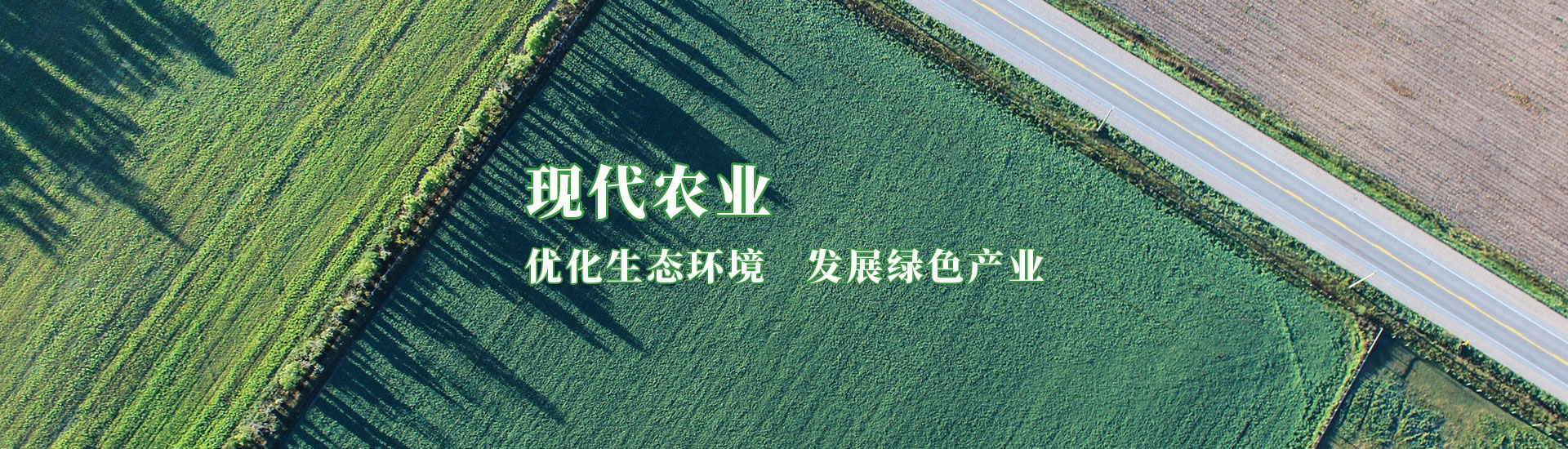 ����˹ר���ᡤVIP(�й���)�ٷ���վ