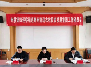 ��ί����Ѳ����Ѳ�����˹ר���ṫ˾Ѳ�칤����ͷ���ٿ�