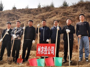 ����˹ר�������2021�괺��ʹ��ֲ���